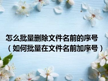 怎么批量删除文件名前的序号（如何批量在文件名前加序号）