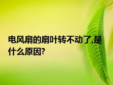 电风扇的扇叶转不动了,是什么原因?