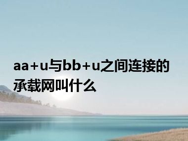 aa+u与bb+u之间连接的承载网叫什么