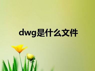 dwg是什么文件