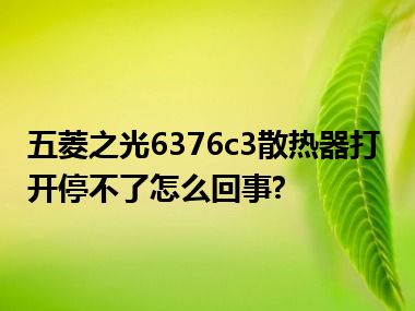 五菱之光6376c3散热器打开停不了怎么回事?