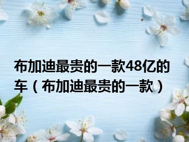 布加迪最贵的一款48亿的车（布加迪最贵的一款）