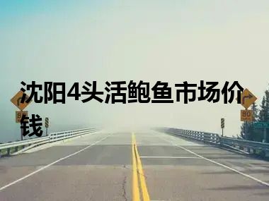 沈阳4头活鲍鱼市场价钱