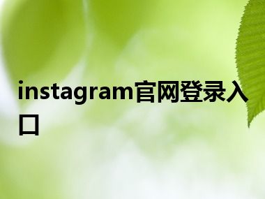 instagram官网登录入口