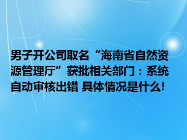 男子开公司取名“海南省自然资源管理厅”获批相关部门：系统自动审核出错 具体情况是什么!