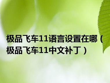 极品飞车11语言设置在哪（极品飞车11中文补丁）