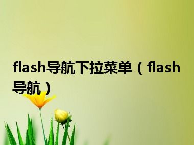 flash导航下拉菜单（flash导航）