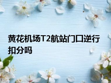 黄花机场T2航站门囗逆行扣分吗