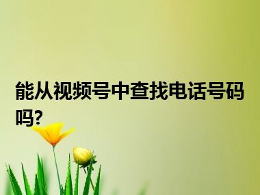 能从视频号中查找电话号码吗?