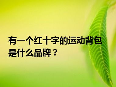 有一个红十字的运动背包 是什么品牌？