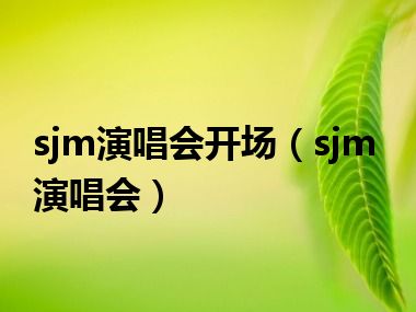 sjm演唱会开场（sjm演唱会）