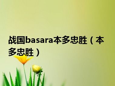 战国basara本多忠胜（本多忠胜）