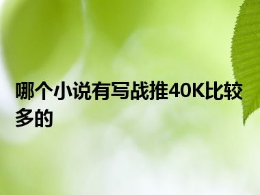 哪个小说有写战推40K比较多的