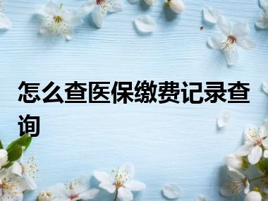 怎么查医保缴费记录查询