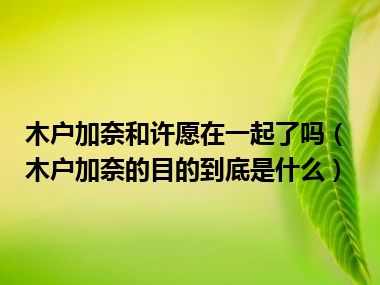 木户加奈和许愿在一起了吗（木户加奈的目的到底是什么）