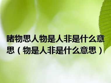 睹物思人物是人非是什么意思（物是人非是什么意思）