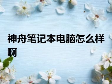 神舟笔记本电脑怎么样啊