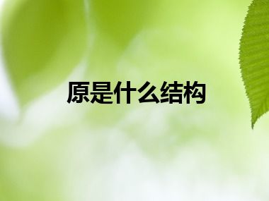 原是什么结构