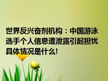 世界反兴奋剂机构：中国游泳选手个人信息遭泄露引起担忧 具体情况是什么!