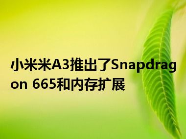 小米米A3推出了Snapdragon 665和内存扩展