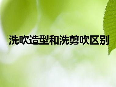 洗吹造型和洗剪吹区别