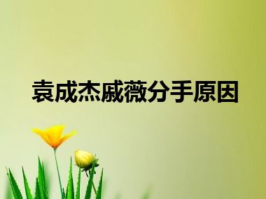 袁成杰戚薇分手原因