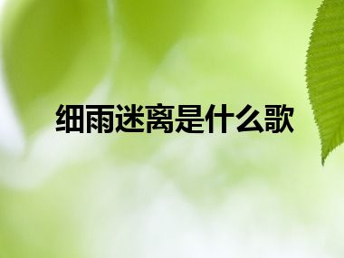 细雨迷离是什么歌