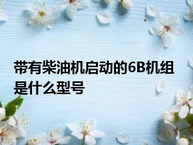 带有柴油机启动的6B机组是什么型号