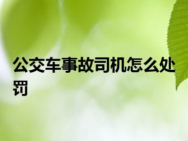 公交车事故司机怎么处罚