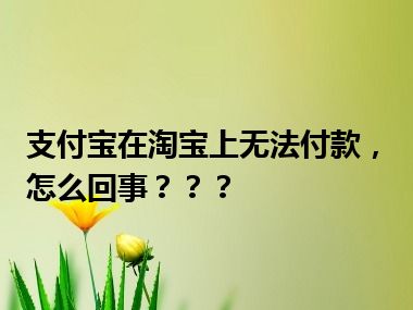 支付宝在淘宝上无法付款，怎么回事？？？