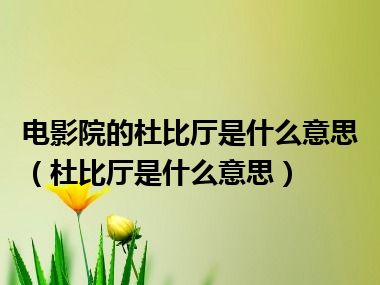 电影院的杜比厅是什么意思（杜比厅是什么意思）