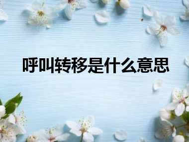 呼叫转移是什么意思