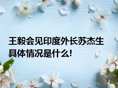 王毅会见印度外长苏杰生 具体情况是什么!