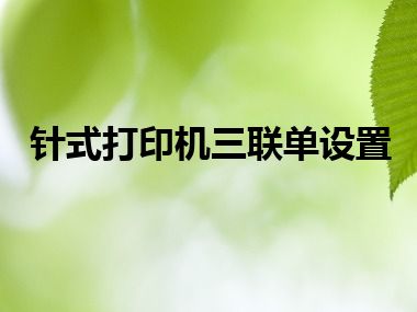 针式打印机三联单设置