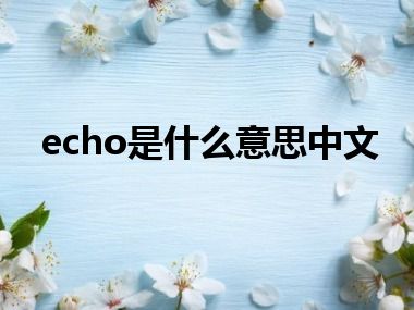 echo是什么意思中文