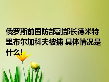 俄罗斯前国防部副部长德米特里布尔加科夫被捕 具体情况是什么!