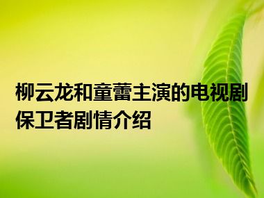 柳云龙和童蕾主演的电视剧保卫者剧情介绍