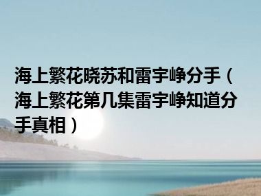 海上繁花晓苏和雷宇峥分手（海上繁花第几集雷宇峥知道分手真相）