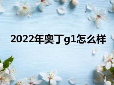 2022年奥丁g1怎么样