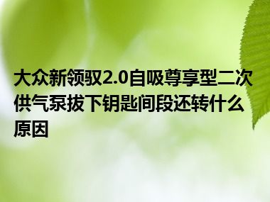 大众新领驭2.0自吸尊享型二次供气泵拔下钥匙间段还转什么原因