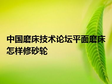 中国磨床技术论坛平面磨床怎样修砂轮