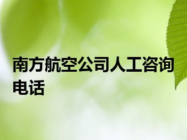 南方航空公司人工咨询电话