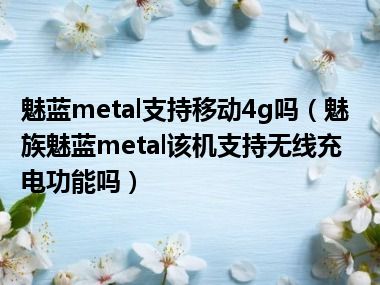 魅蓝metal支持移动4g吗（魅族魅蓝metal该机支持无线充电功能吗）