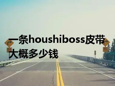 一条houshiboss皮带大概多少钱