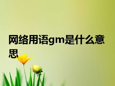 网络用语gm是什么意思