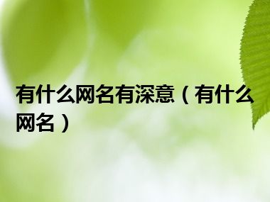 有什么网名有深意（有什么网名）