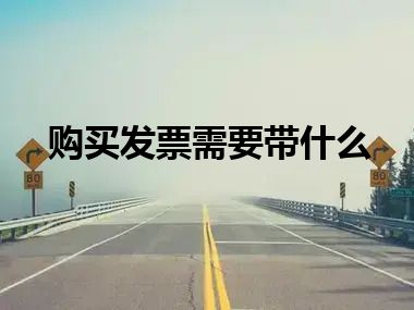 购买发票需要带什么