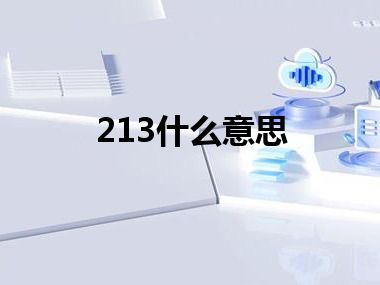 213什么意思