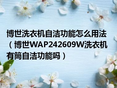 博世洗衣机自洁功能怎么用法（博世WAP242609W洗衣机有筒自洁功能吗）