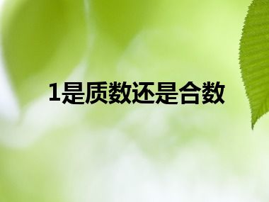 1是质数还是合数